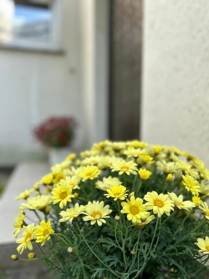 Apartmán Gemuetliches Familienhaus - Fuehlt Euch Wohl Oldenburg Exteriér fotografie